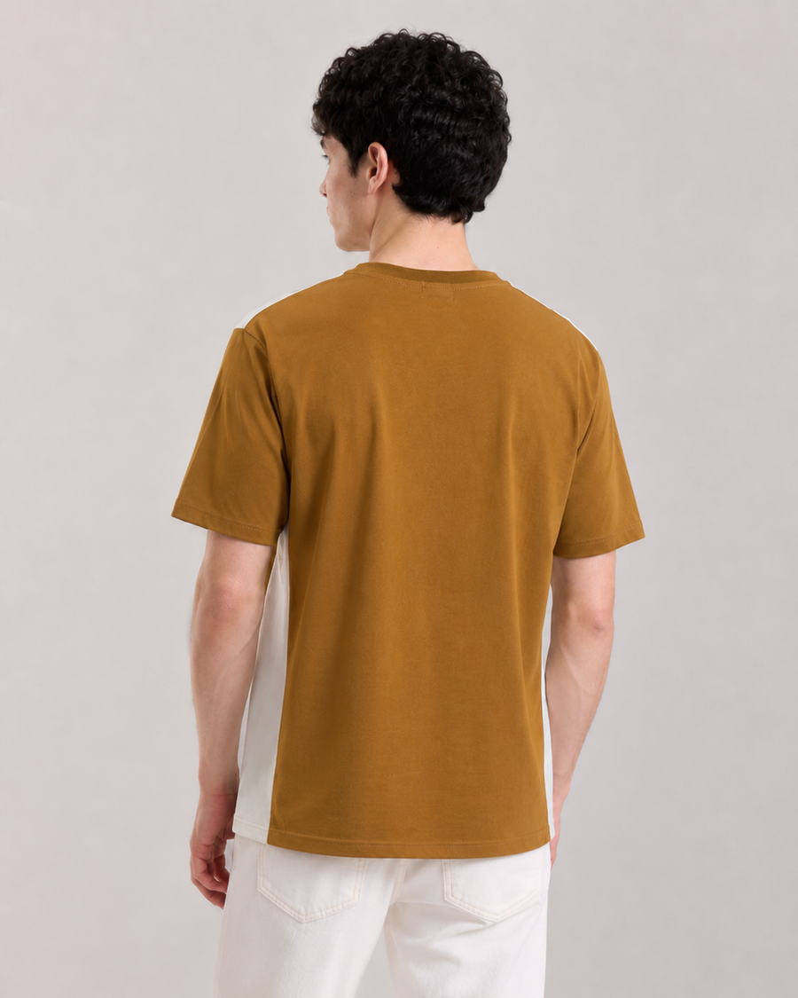 Organic Muddy DTG Print Oversized T-Shirt for Men